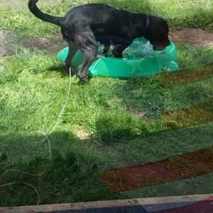 Meet your Posher, Joann